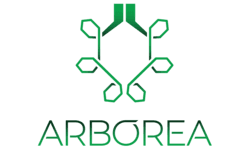 Arborea