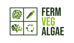 FERM VEG ALGAE